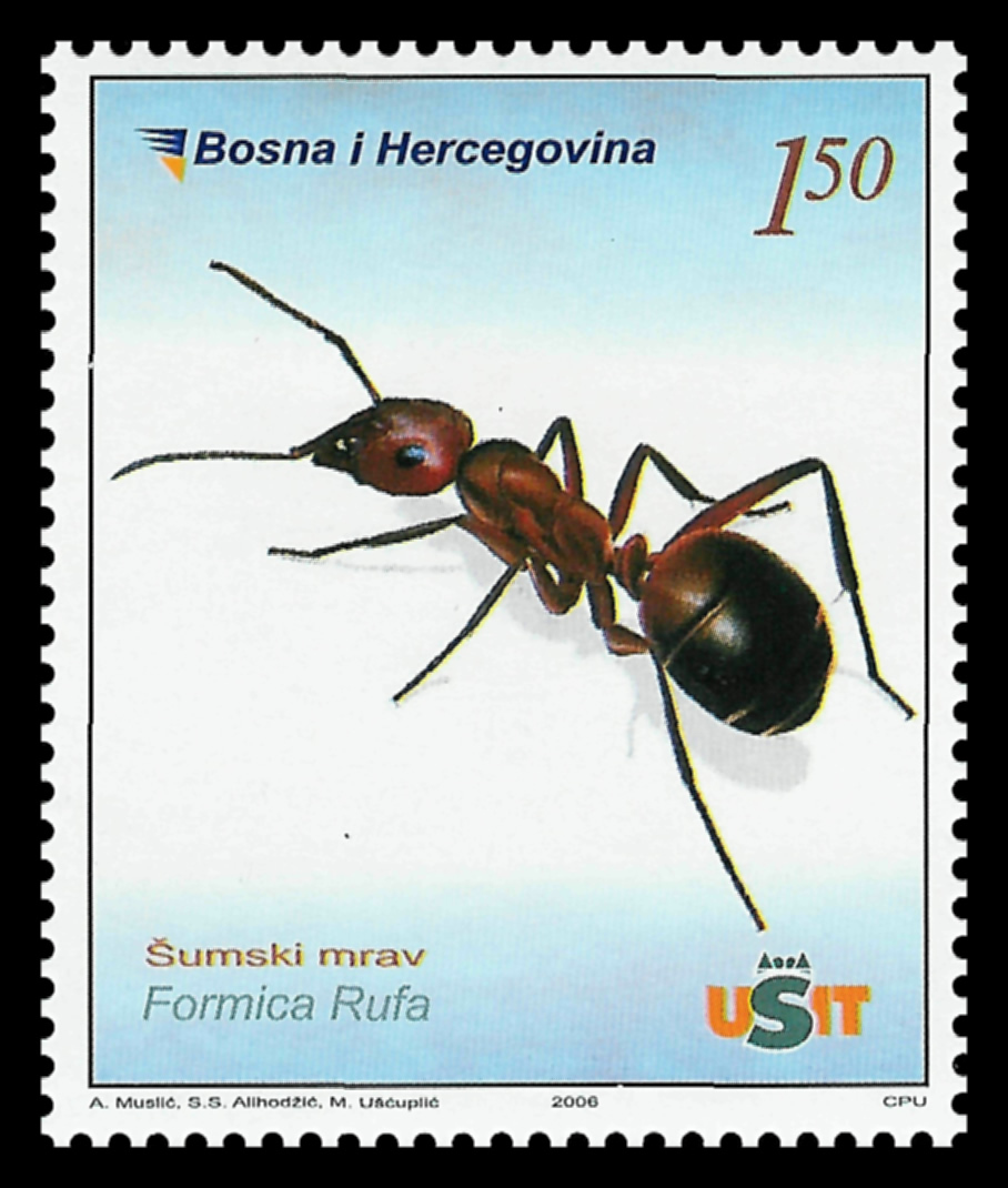 Sello de Formica rufa de Bosnia-Hercegovina, 2006