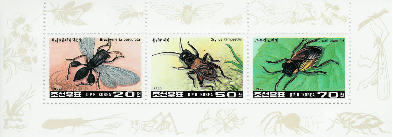 Corea del Norte, 1993. Bloque de 3 valores de insectos. Fuera de los sellos en la parte superior hay hormigas.
