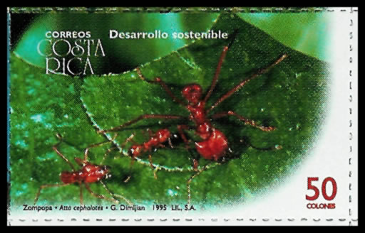 Sello de la hormiga "Zompopa" o Atta cephalotes, dedicado al desarrollo sostenible. Costa Rica, 1995 (otra resoluci�n)