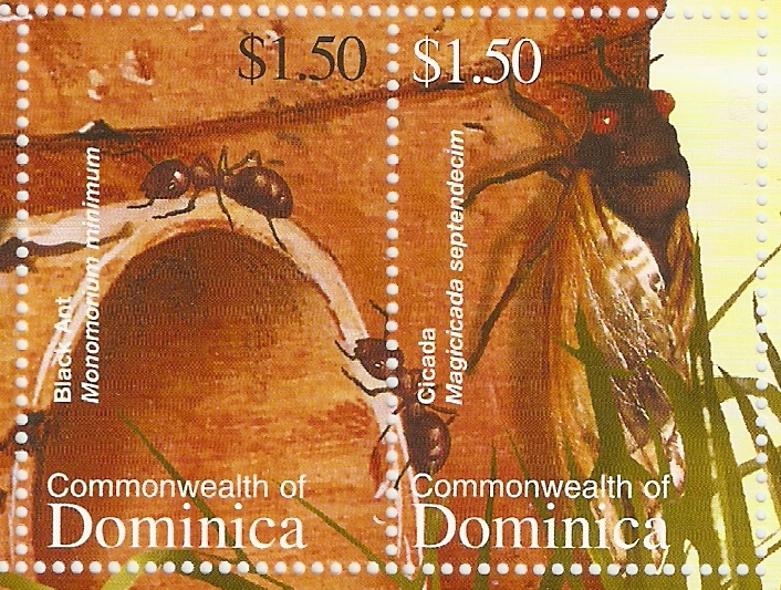Sellos de Monomorium minimum de Dominica (2002)
