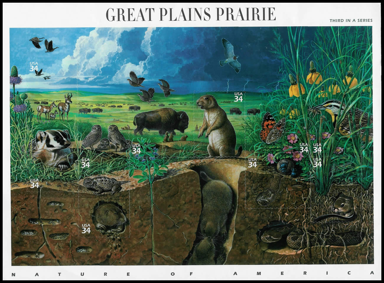 Bloque de 10 sellos todos de 34 centavos, representando las "Grandes planicies de la pradera" americana. En el angulo inferior izquierdo hay un nido completo de Pogonomyrmex occidentalis. Estados Unidos, 2000