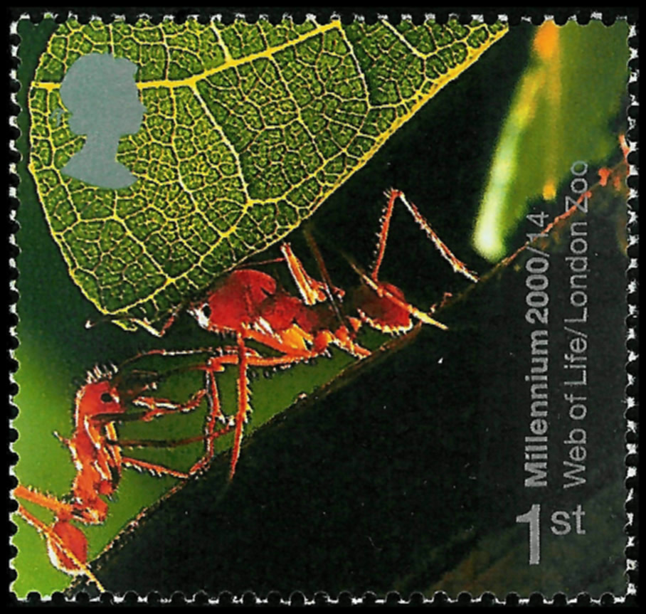 Atta cephalotes en la 4? serie de sellos dedicados al Milenario. Gran Breta?a, 2000