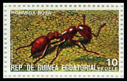 Sello de "Hormiga roja" de la serie de "Insectos" de Guinea Ecuatorial, 1978