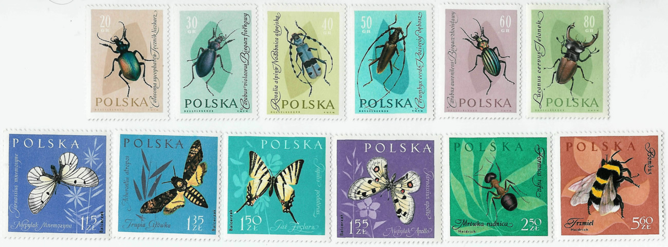 Serie 12 sellos de insectos. 6 valores de cole�pteros, 4 de lepid�pteros y 2 de himen�pteros. Polonia, 1962