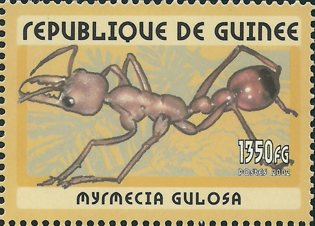 Republica Guinea 2002. Mirmecia gulosa