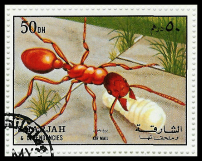 Sello de una Aphaenogaster de la serie de 5 insectos y un caracol del Emirato rabe de Sharjah, 1972