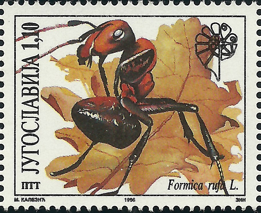 Yugoeslavia 1996 Formica rufa en serie 4 valores insectos protegidos