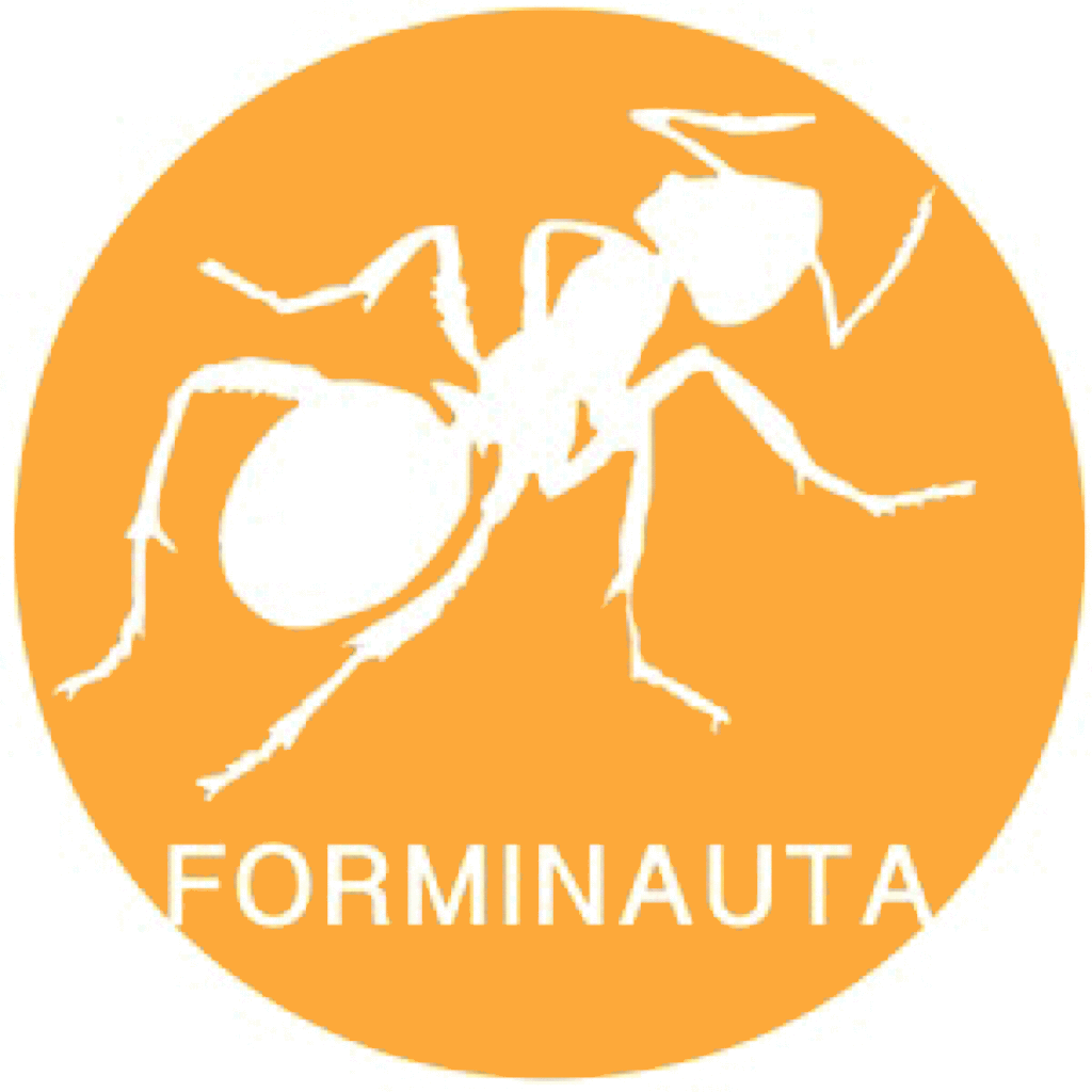 Forminauta