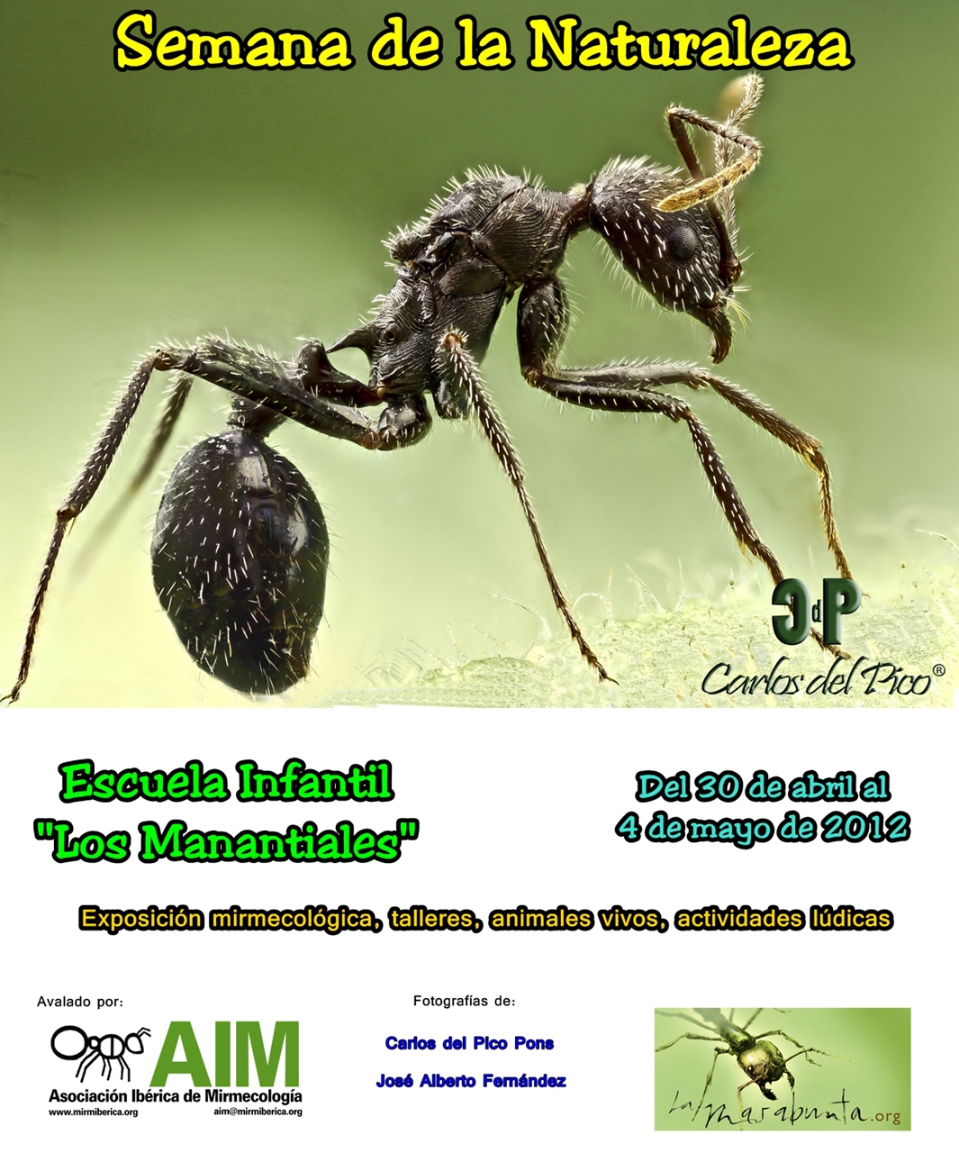 ix cartel