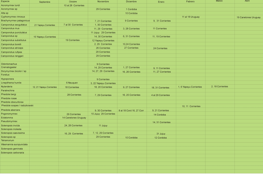 Ficha de vuelos_NEA_2020_4