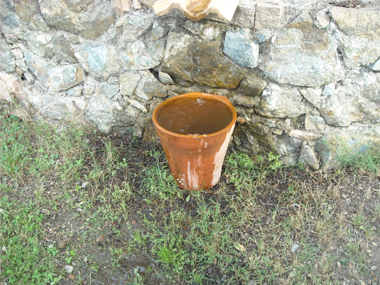 Fuente 01