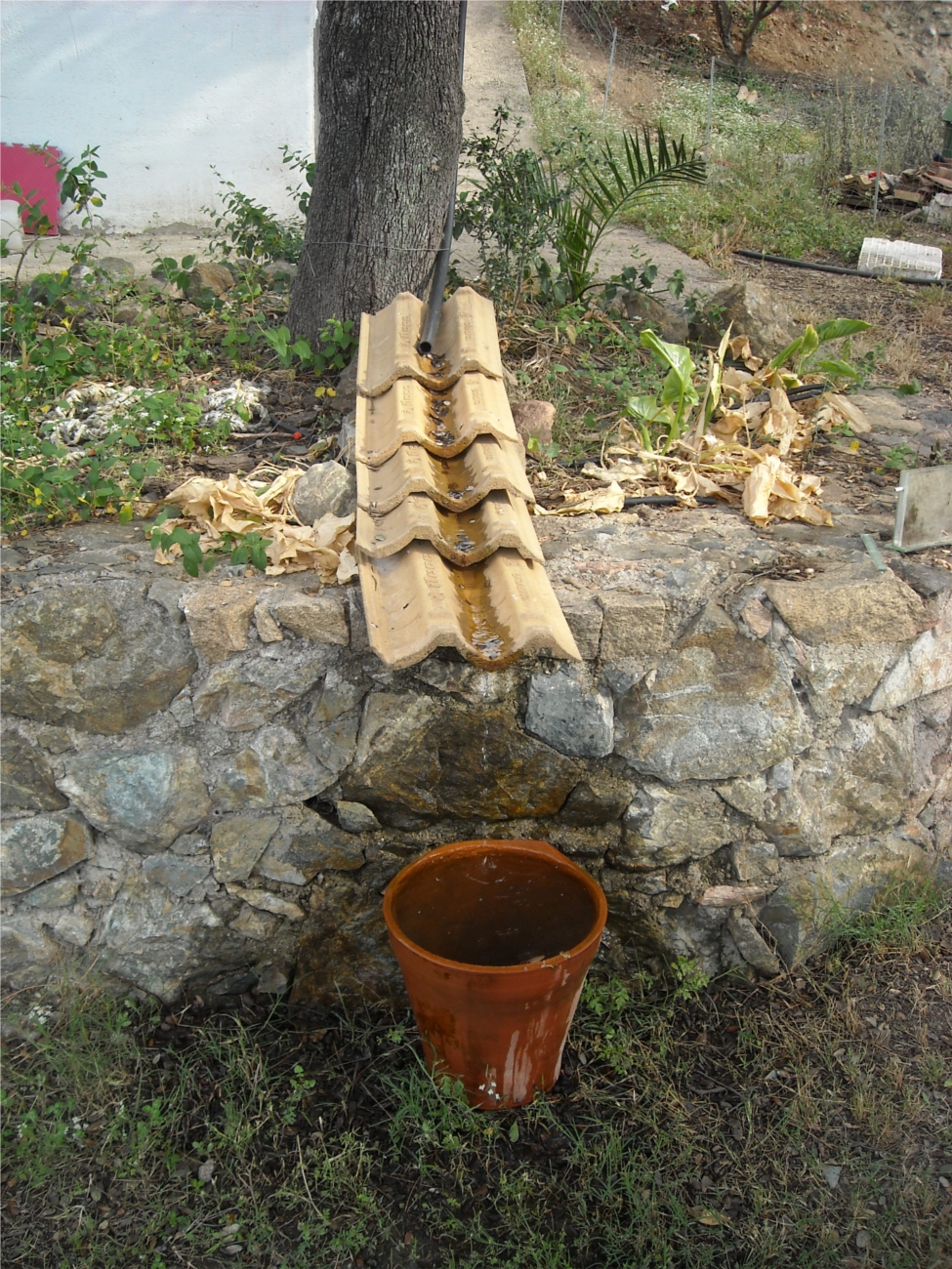 Fuente 04