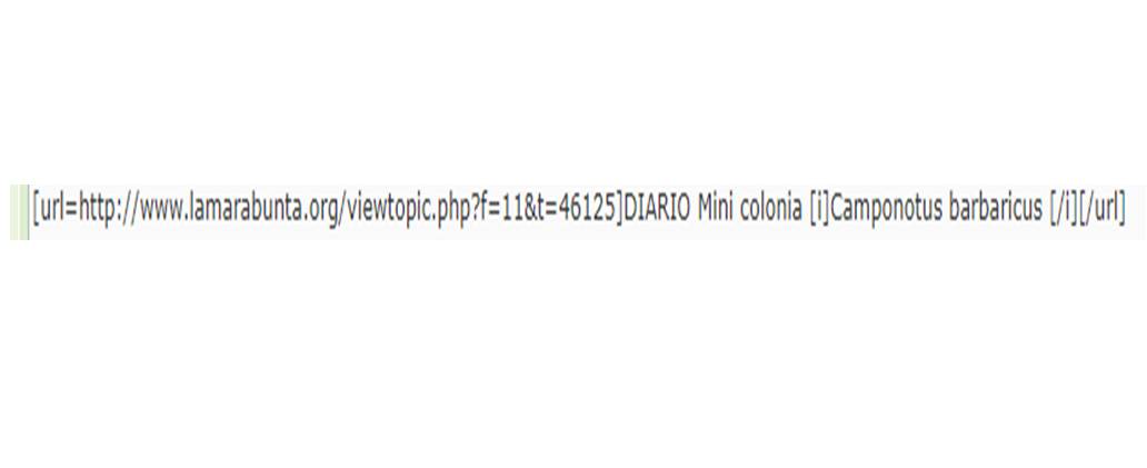 URL