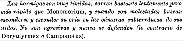 Texto_pogos