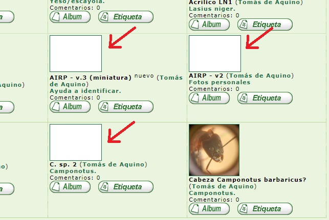 Problemas con la galer�a