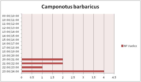 vuelos barbaricus