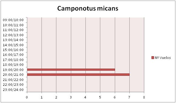 vuelos micans