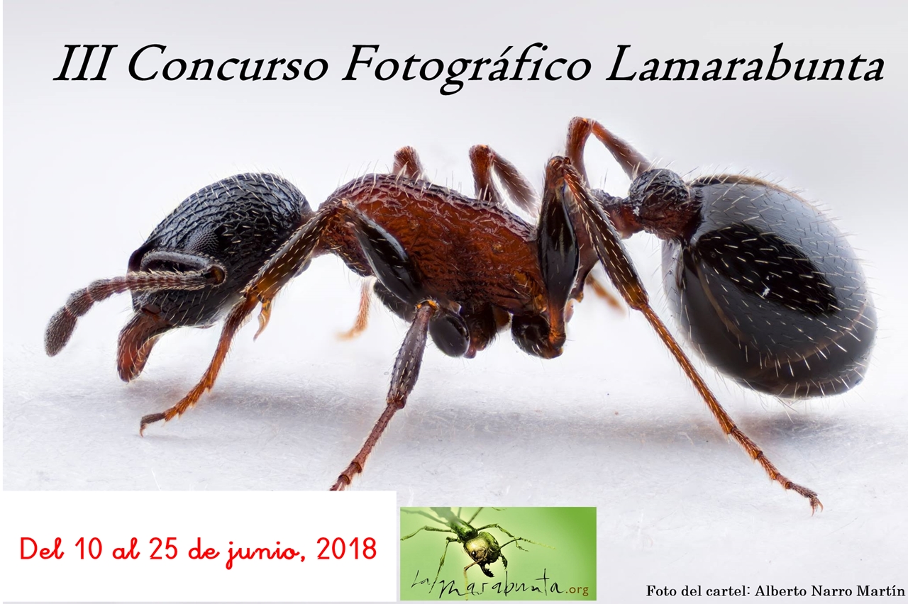 cartel 2018