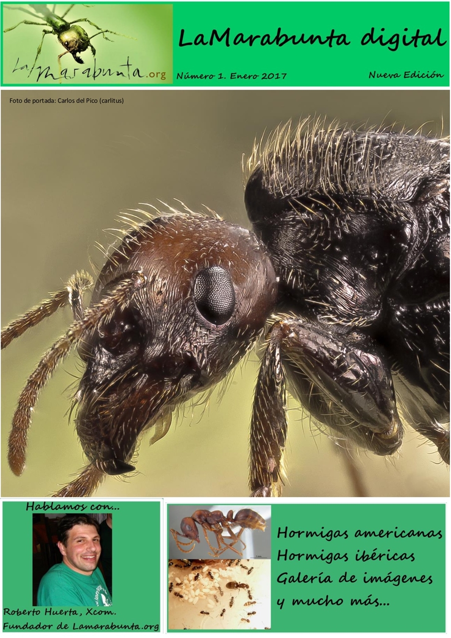 portada revista