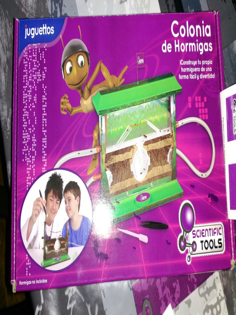 reyes
