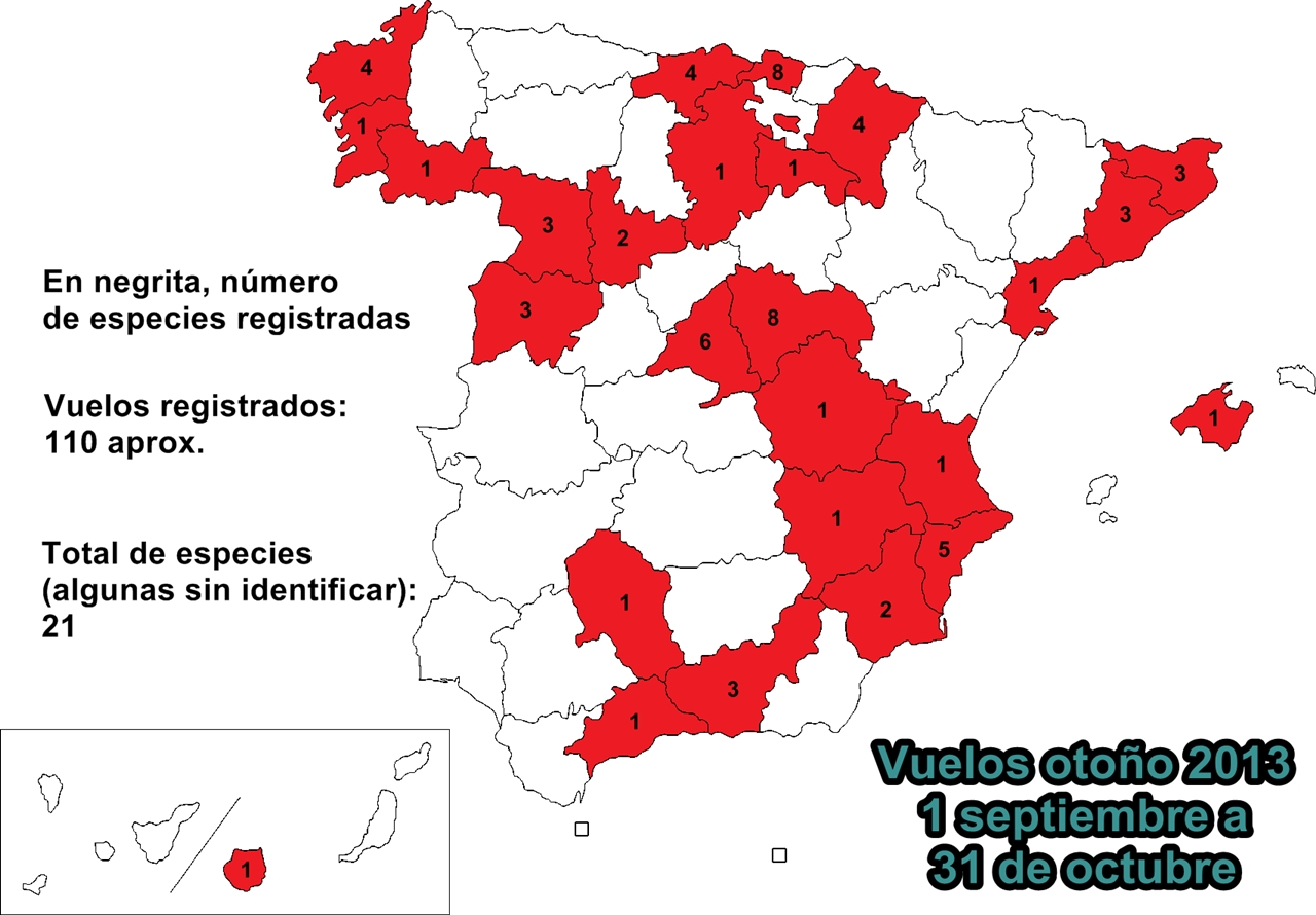 oto�o2013.1
