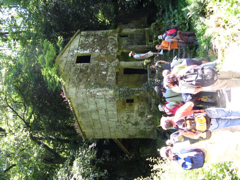 IMG 0390