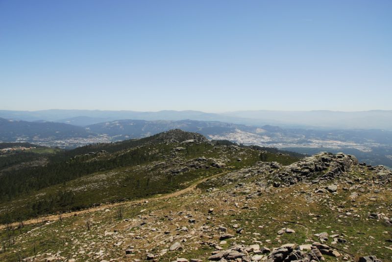 DSC5365