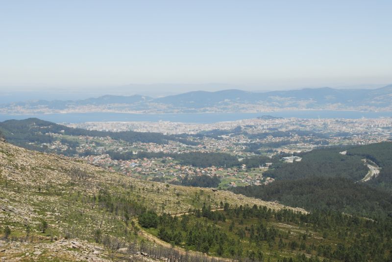 DSC5372