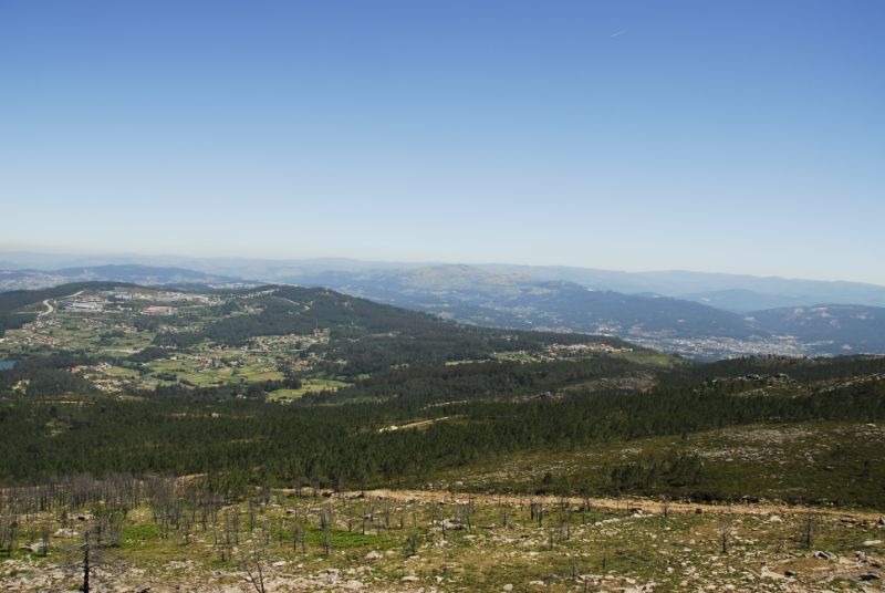 DSC5374