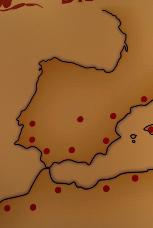 detalle del mapa de distribuci?n
