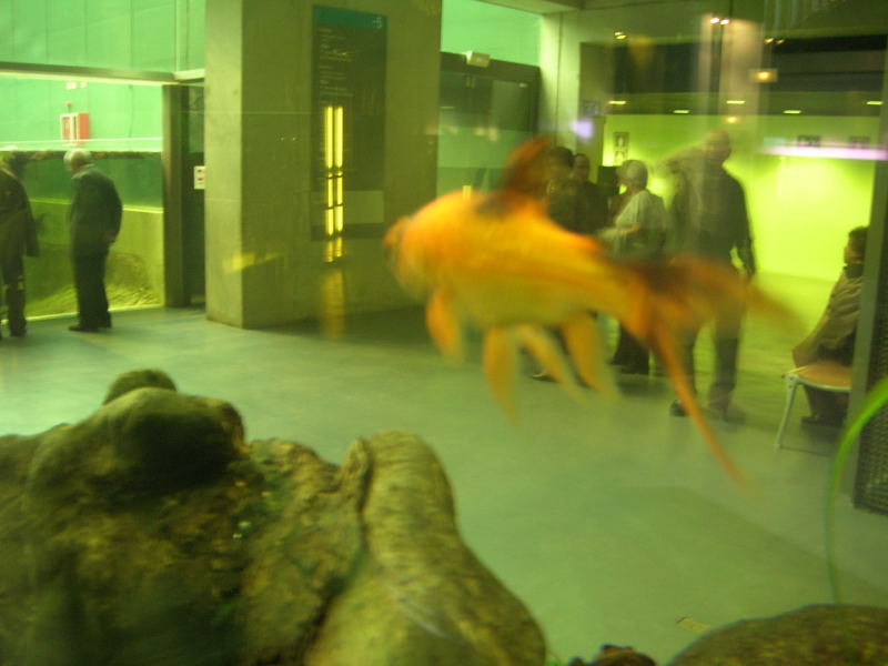 En CosmoCaixa. 14.11.07