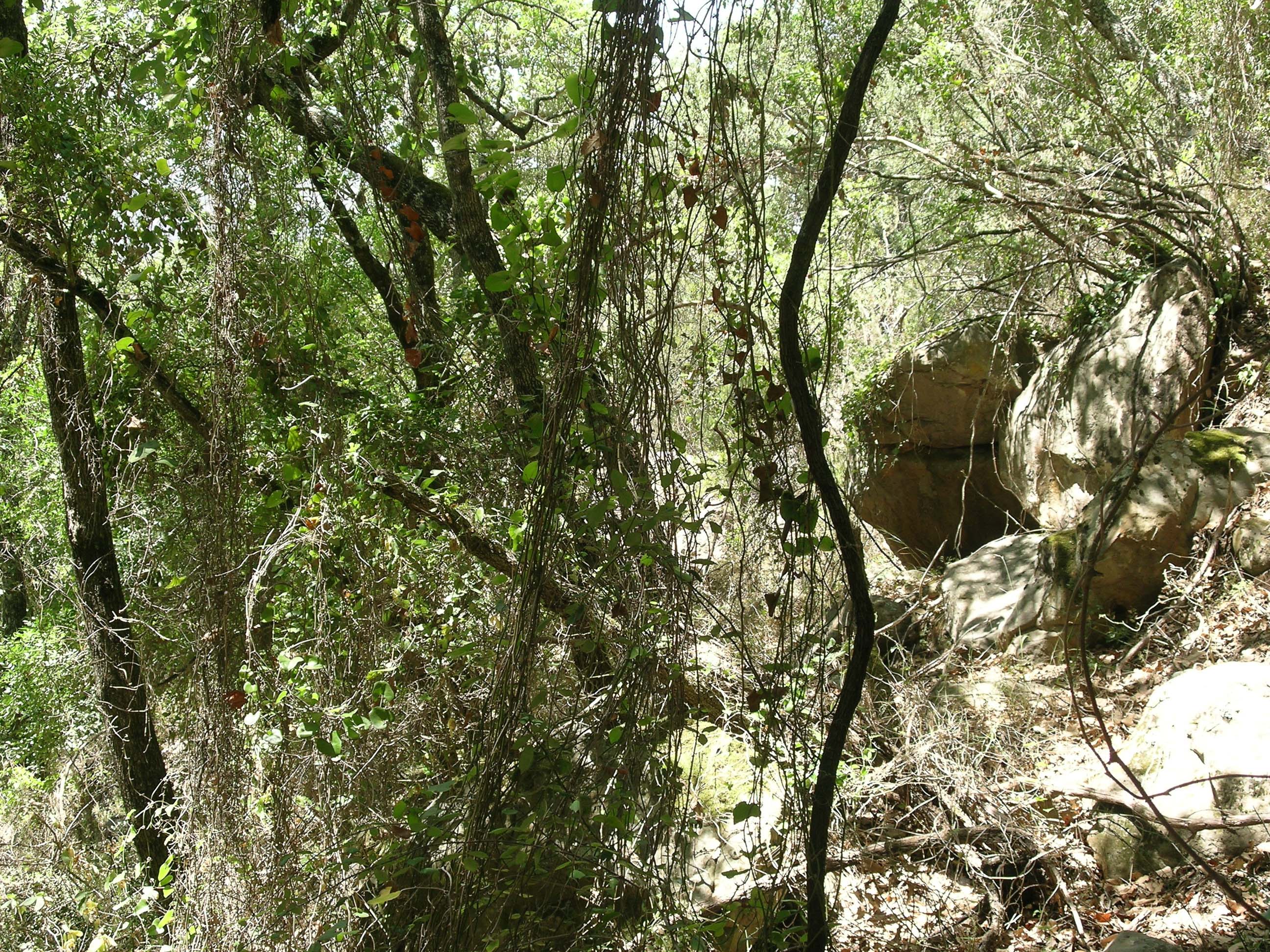DSCN2481