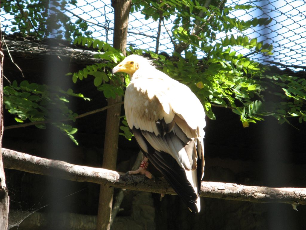 IMG 2246 1024x768