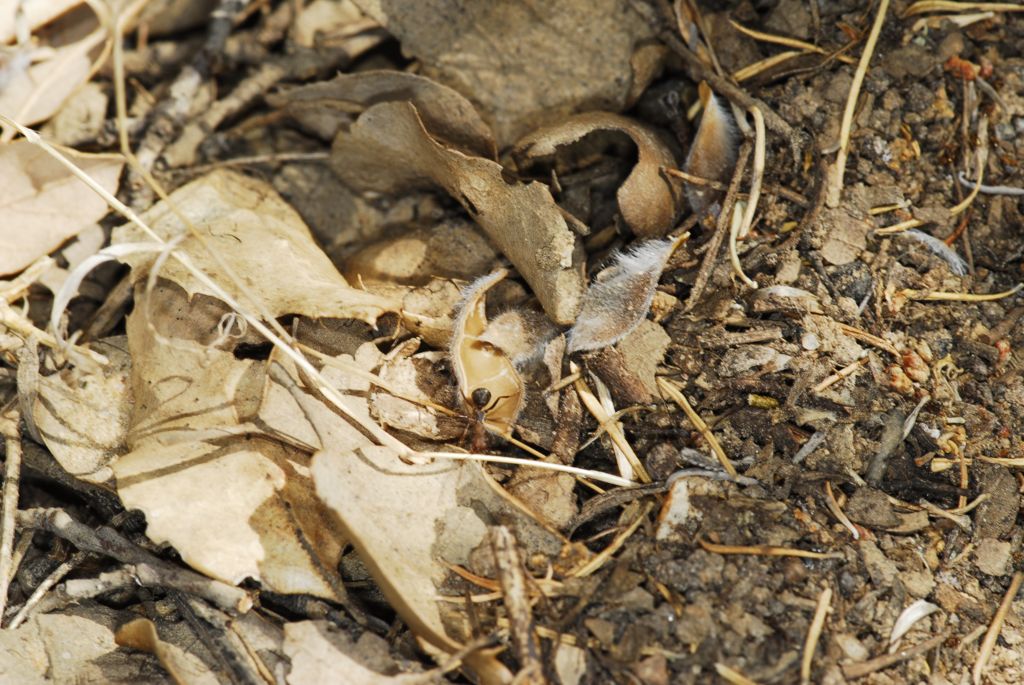 DSC0051 1024x685