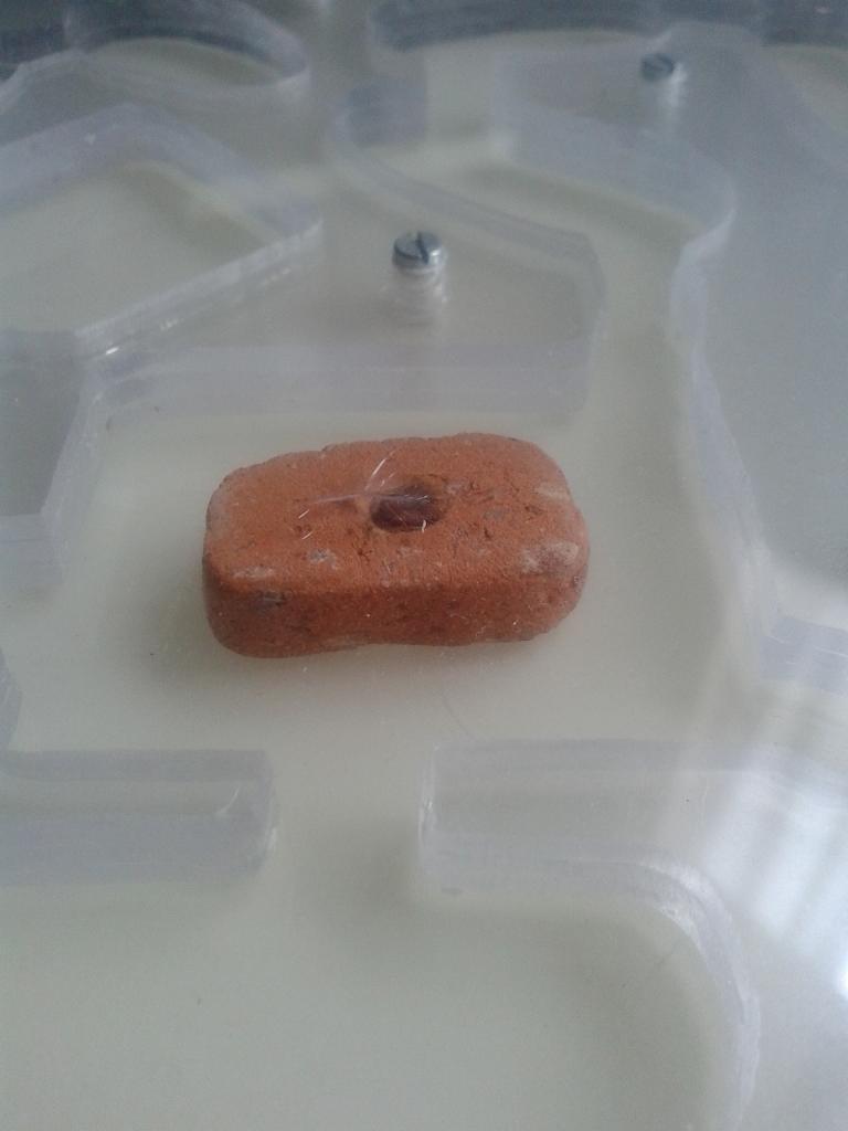 Seta de ladrillo