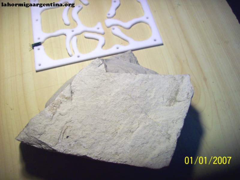 Piedra calcarea