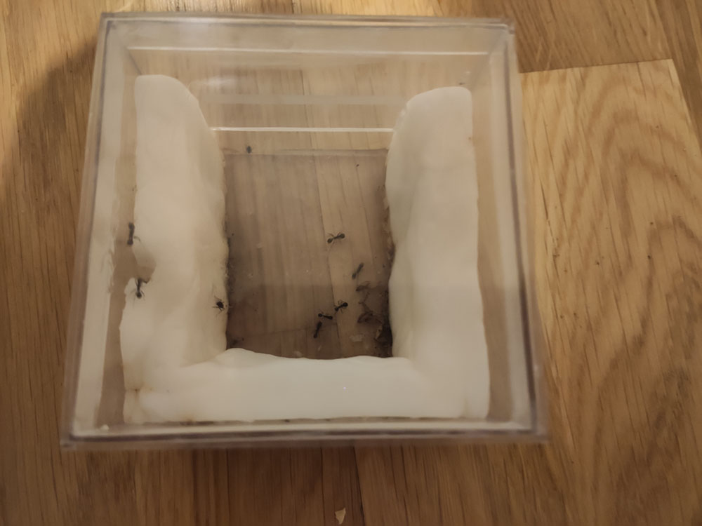 Plastico 3