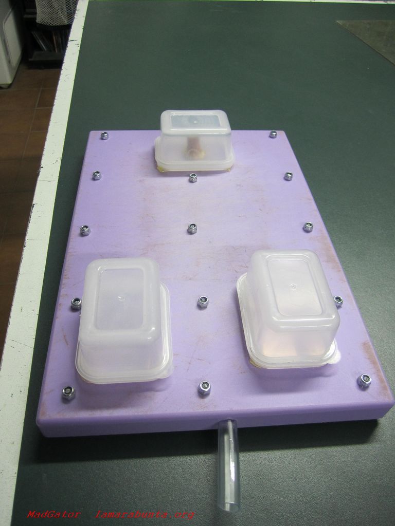 h-morado21.JPG