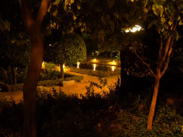 DSCN1041