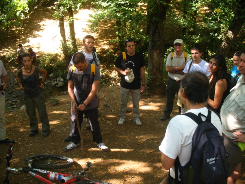 IMG 0986
