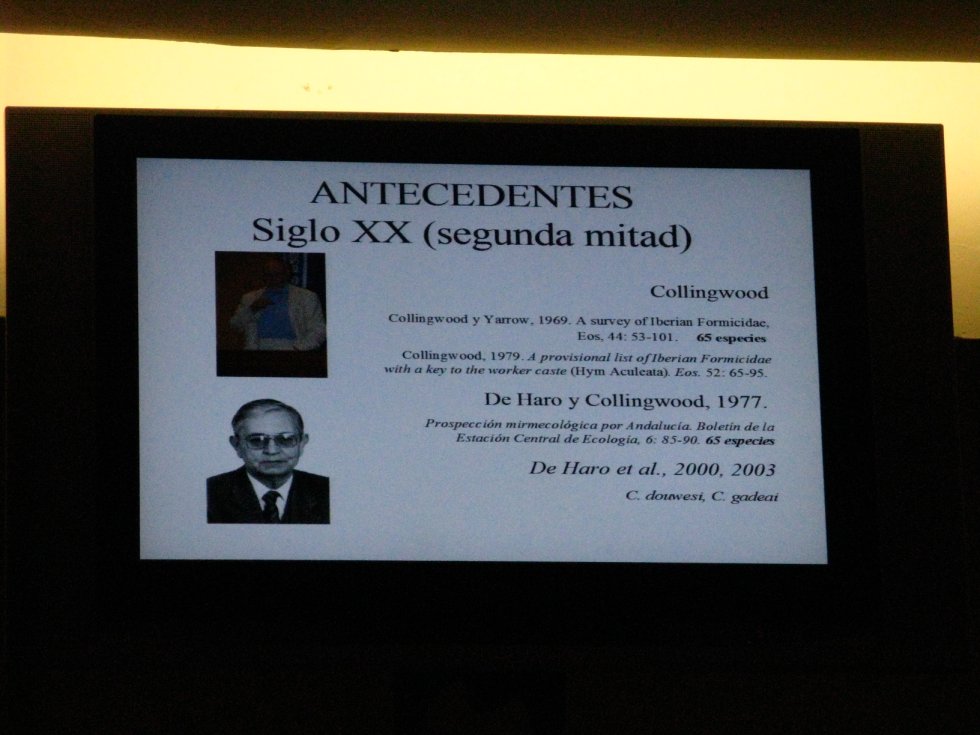 IMG 1942