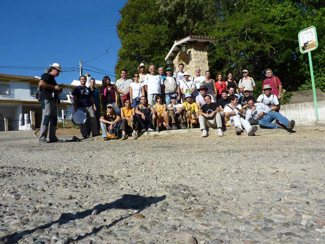 taxomara09_034.jpg