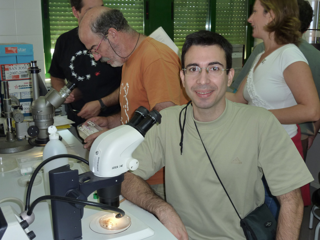 taxomara09_046.jpg