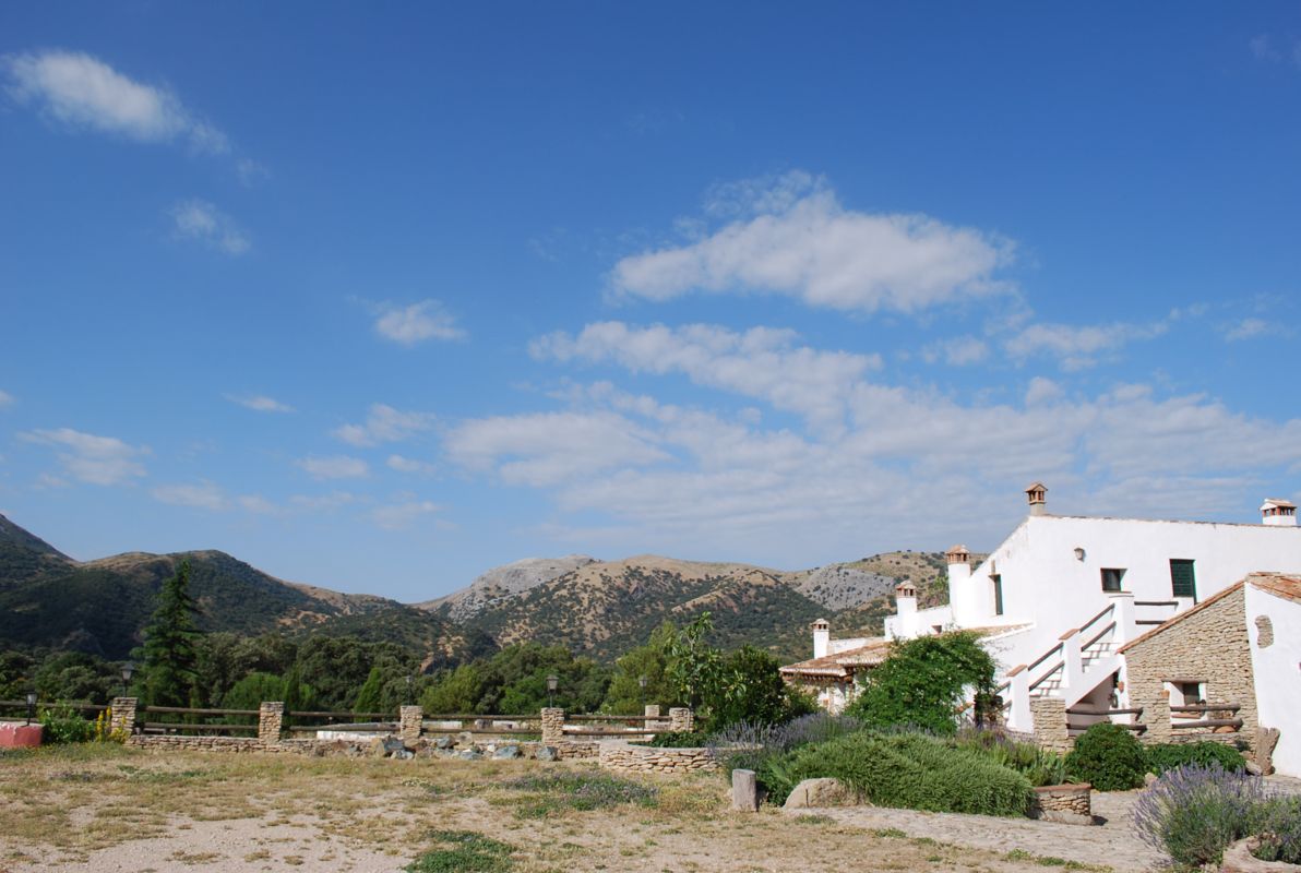 DSC 0082