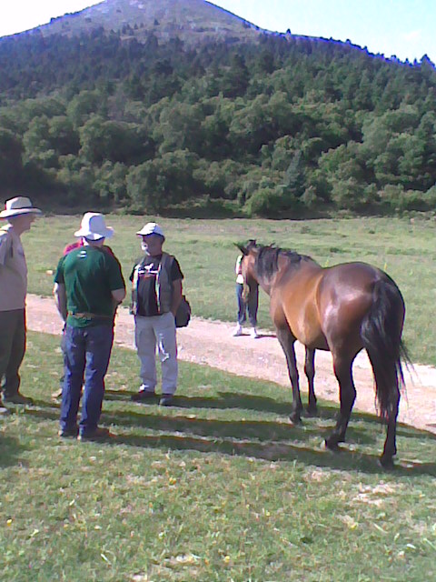 Sierra de las Nieves