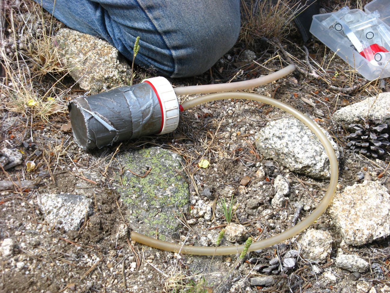 IMG 0228