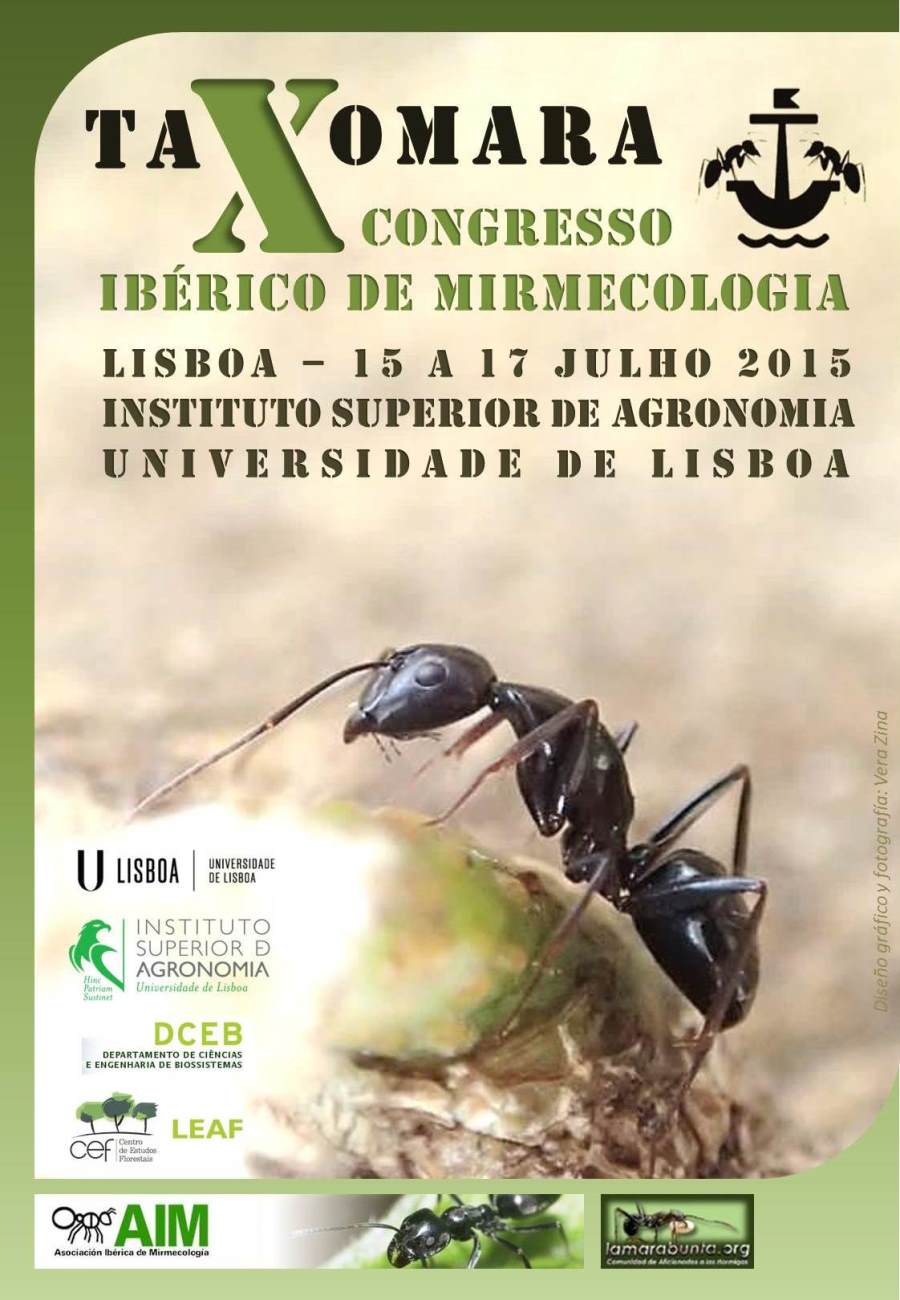 Cartaz_Taxomara_2015