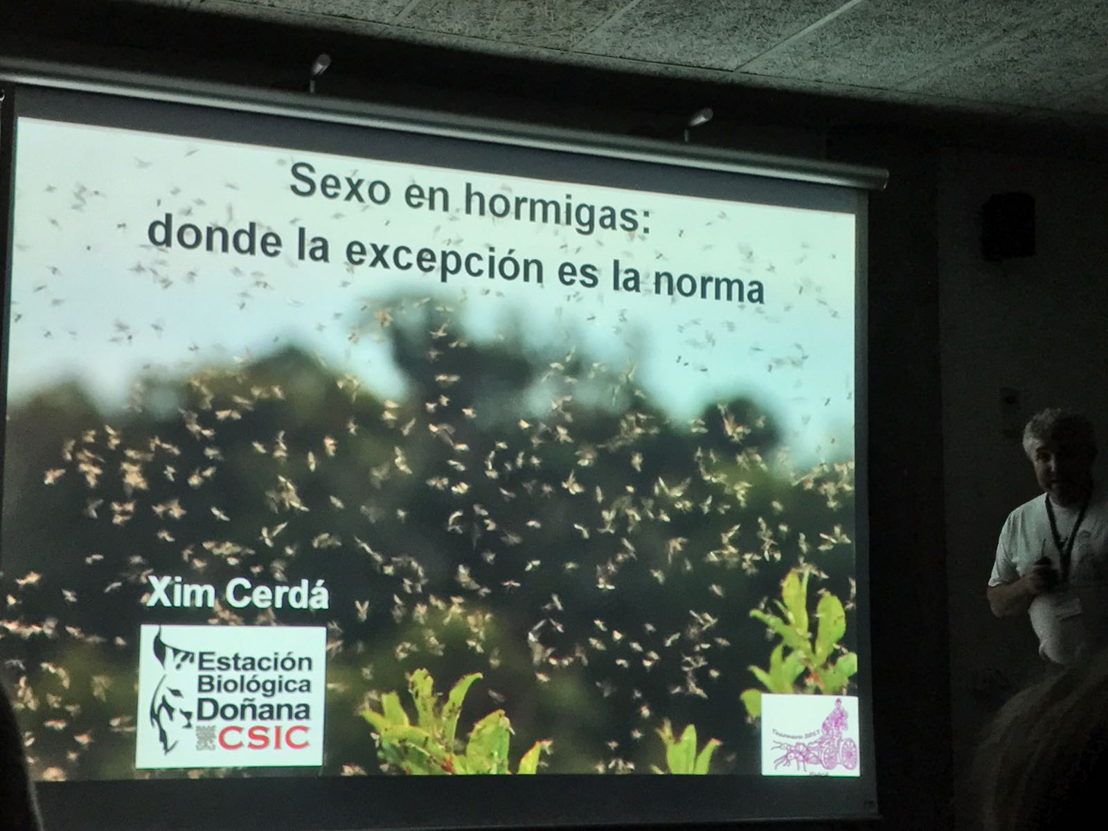 taxo17 (42)