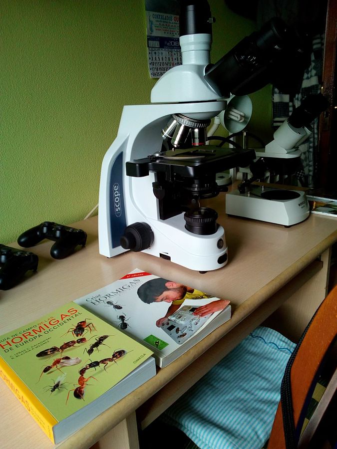 Microscopios y libros