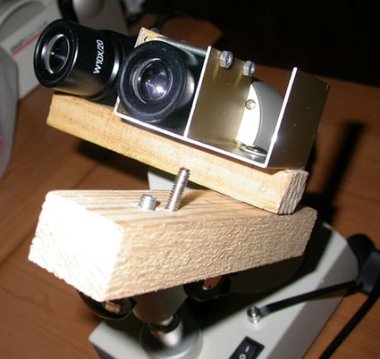 Sujeta Camara 2